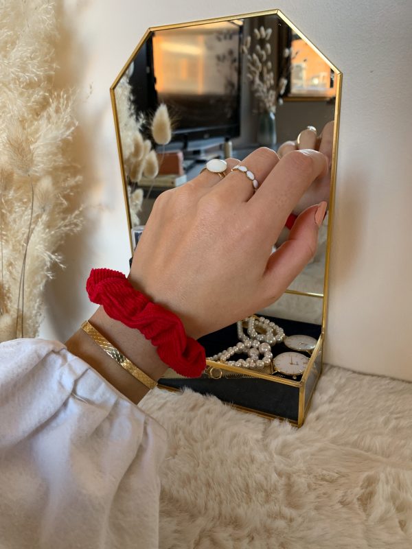 Petit chouchou cheveux