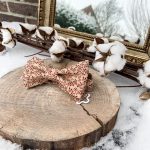 Noeud papillon Lille