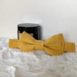 Noeud papillon homme